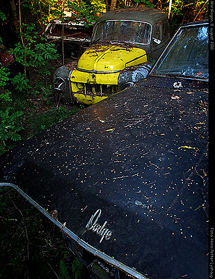 Duett og Dodge
